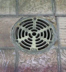 drain-survey-pic