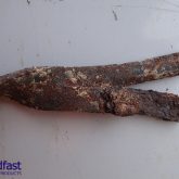 corroded wall tie