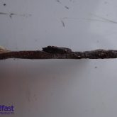 profile of corroded wall tie