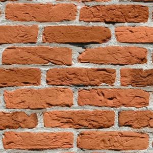 Brick Wall Burnt Orange