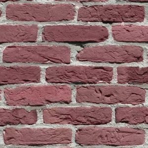 Brick Wall Plum