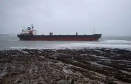 Kuzma Minin Falmouth