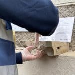 Stone Repair Training