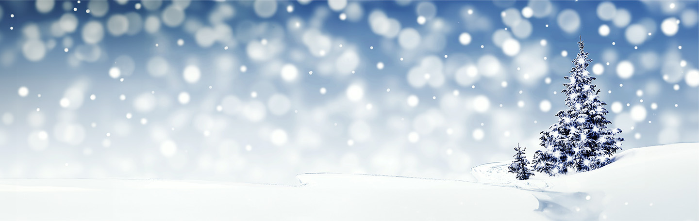 Christmas scene banner